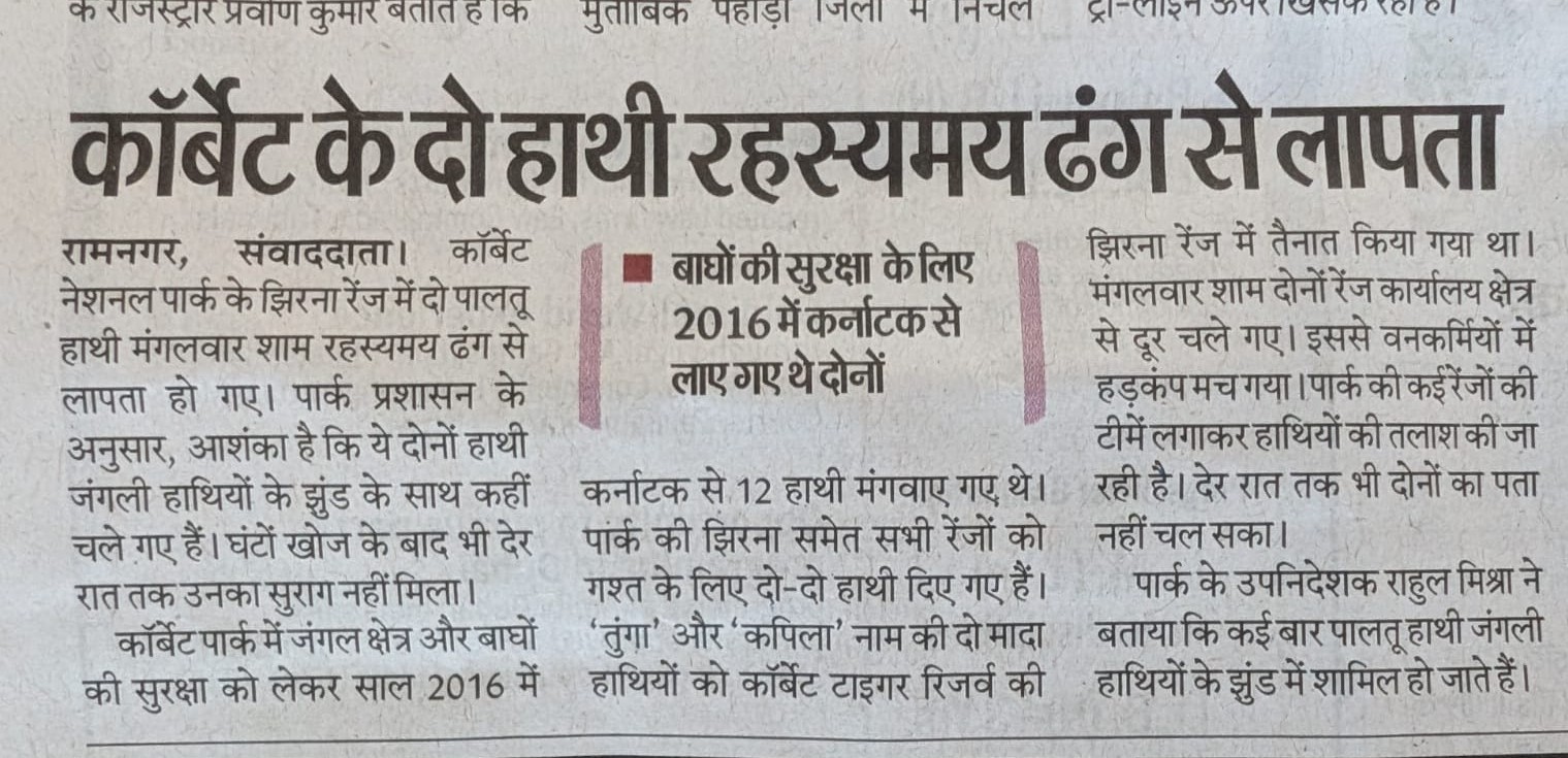 कॉर्बेट के दो हाथी रहस्यमय ढंग से लापता
