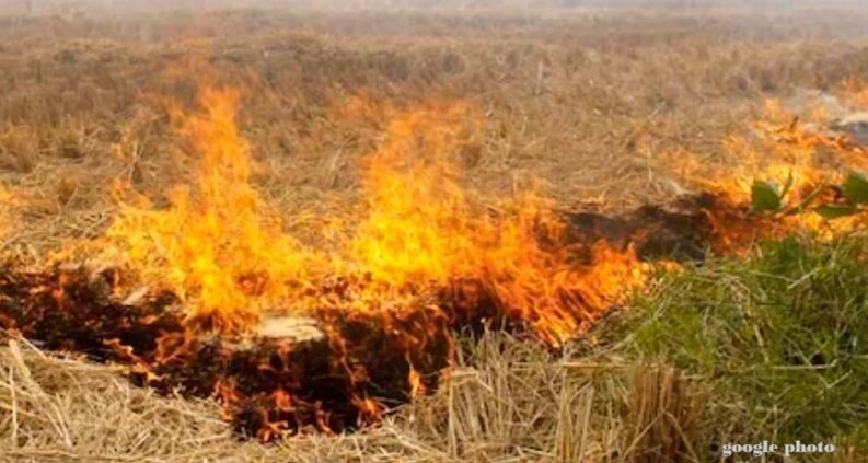 वायु गुणवत्ता प्रबंधन आयोग ने 2026 में पराली जलाने के उन्मूलन को लेकर समीक्षा की