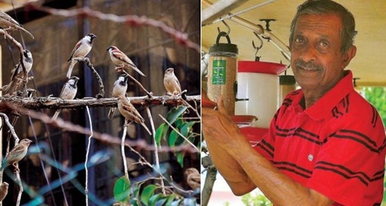 बेंगलुरु के स्पैरो मैन : एडविन जोसेफ