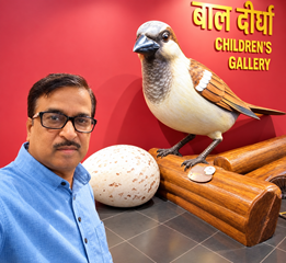 संग्रहालयों में भी सुरक्षित है गौरैया